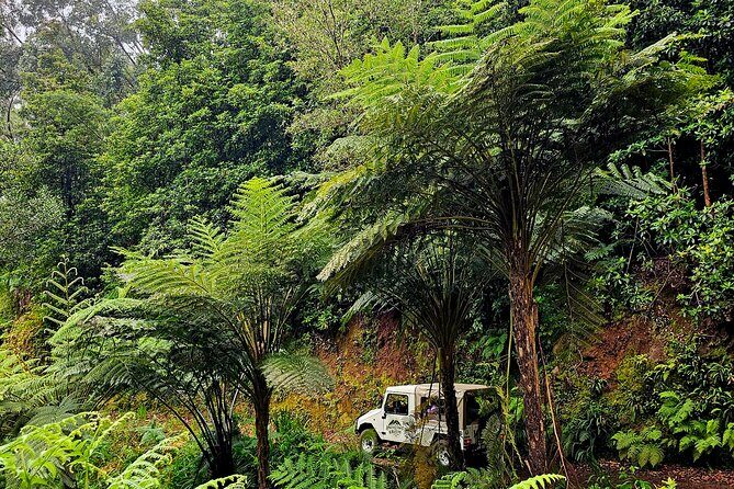 Private Tour on Madeira Island (max 6 people) - FAQ