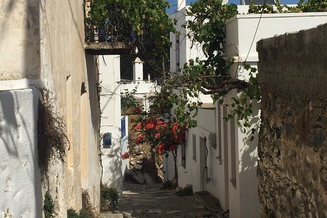 Private Tour on Paros Island - Customization and Personal Touches
