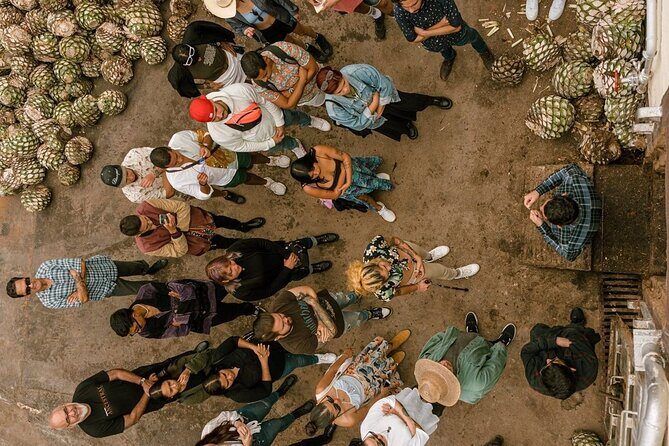 Private Tour one day of Adventure in Tequila and Tequilera Cascahuin - The Breakdown of the Tour Experience