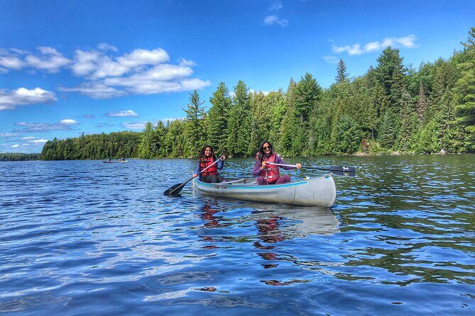 Private Tour or Private Transportation From Toronto Anywhere - Final Thoughts: Is It Worth It?