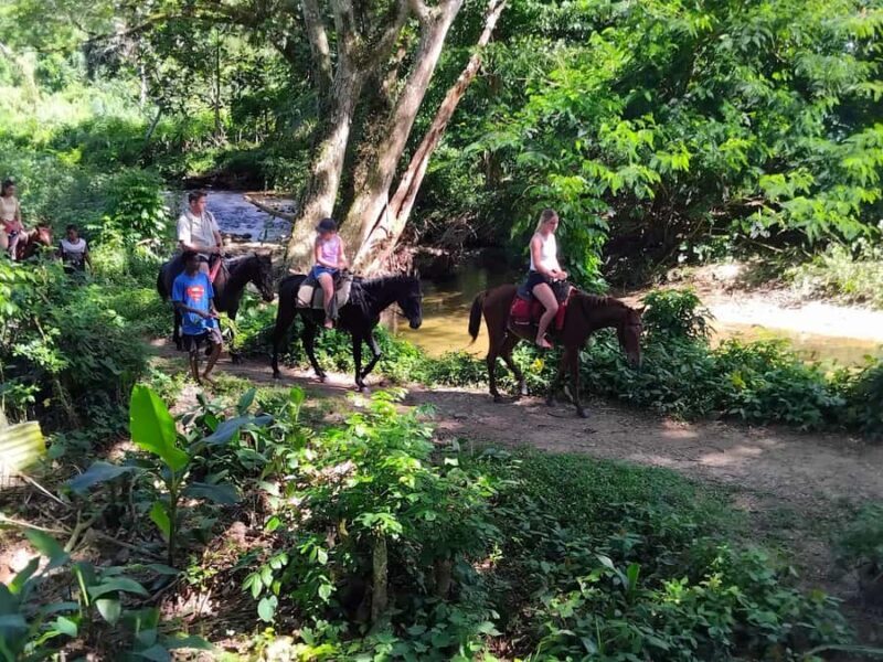 Private Tour: Pacific's Largest Dunes & Famous Waterfall - Value for Money: Does It Hold Up?