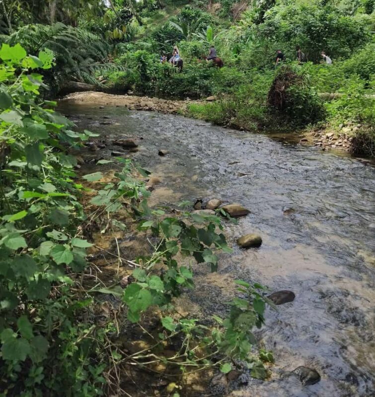 Private Tour: Pacific's Largest Dunes & Famous Waterfall - Frequently Asked Questions