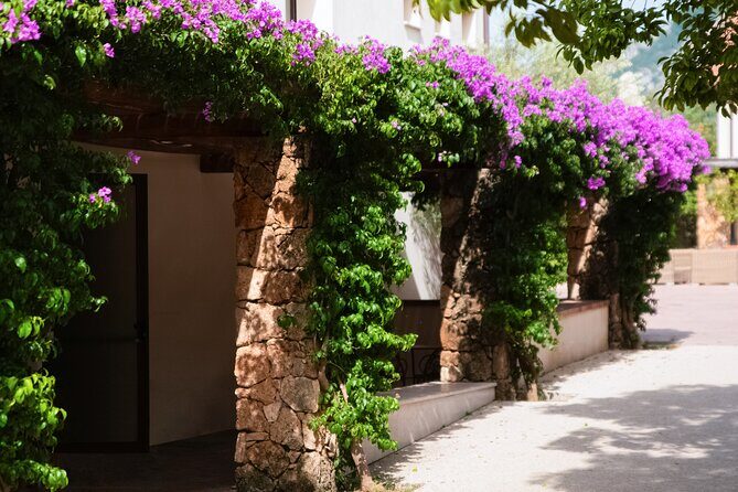 Private Tour: Paestum, Mozzarella Bufala guided tour and lunch - Key Points