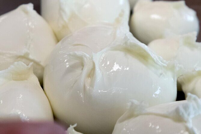 Private Tour: Paestum, Mozzarella Bufala guided tour and lunch - The Journey Begins: Comfortable Pickup and the Sele Plain