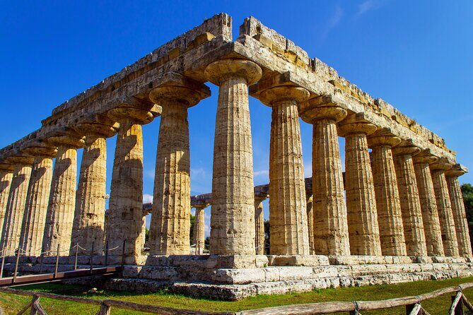 Private Tour: Paestum, Mozzarella Bufala guided tour and lunch - A Delicious, Authentic Farm Lunch