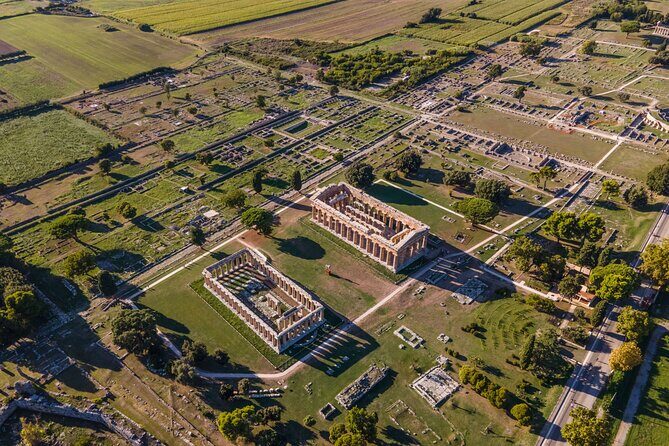 Private Tour: Paestum, Mozzarella Bufala guided tour and lunch - Return to Salerno