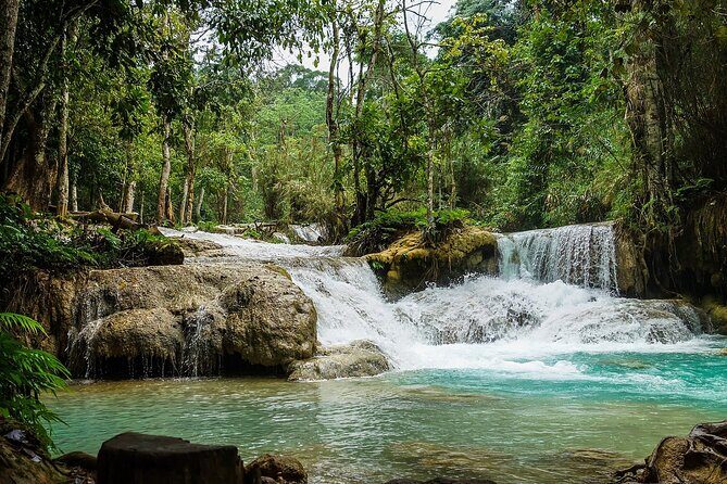 Private Tour: Pak Ou Cave and Kuang Si Waterfall Tour from Luang Prabang - An In-Depth Look at the Tour Experience