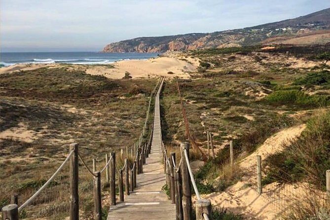 Private Tour, Pena Palace,Sintra,Cascais and Full Day Wine Tasting - Practical Considerations