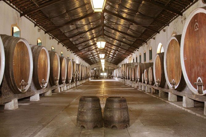 Private Tour, Pena Palace,Sintra,Cascais and Full Day Wine Tasting - FAQs