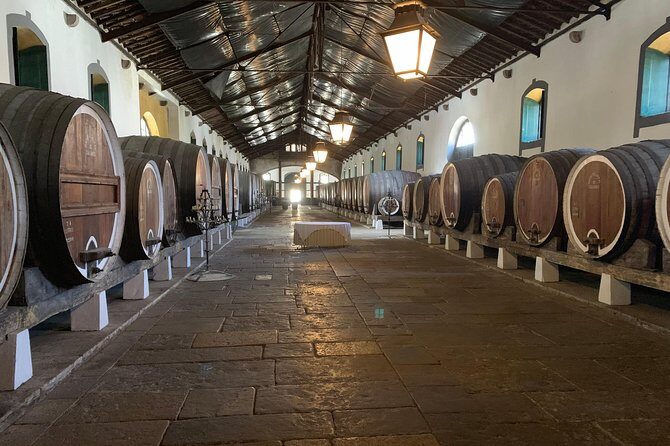 Private Tour, Pena Palace,Sintra,Cascais and Full Day Wine Tasting - Final Thoughts