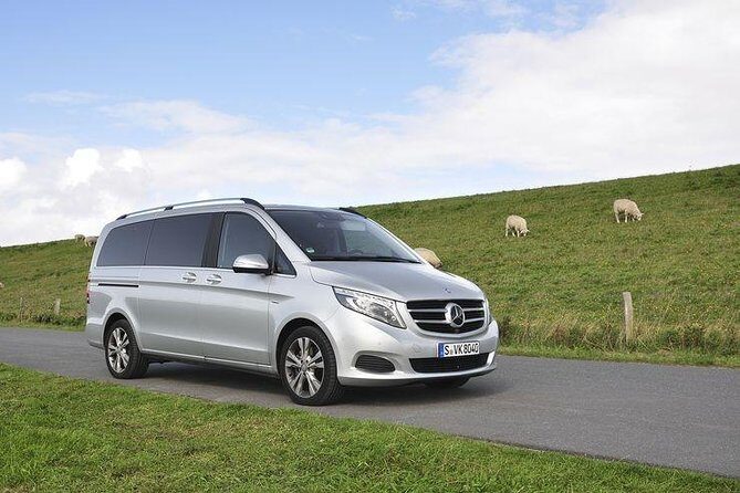 [Private Tour] Penguin Parade Phillip Island Tour. - Authentic Experiences and Traveler Insights