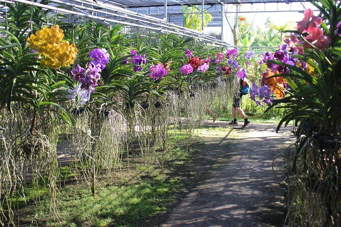 Private tour] Perfect day! Sticky waterfall + ChiangDao Cave + Wat BandenTemple - Final Thoughts