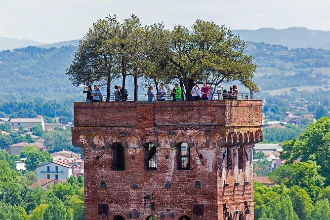Private Tour: Pisa and Lucca from Florence - An Honest, In-Depth Look at the Pisa and Lucca Private Tour