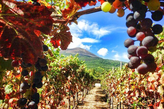 Private Tour: Pompeii and Mount Vesuvius with Wine Tasting - FAQ