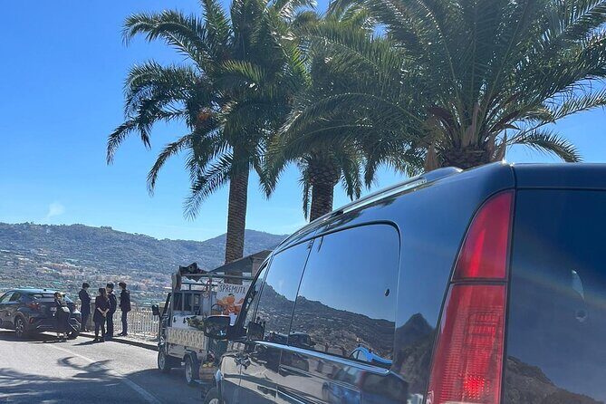 Private Tour Pompeii and Sorrento from Naples - FAQ