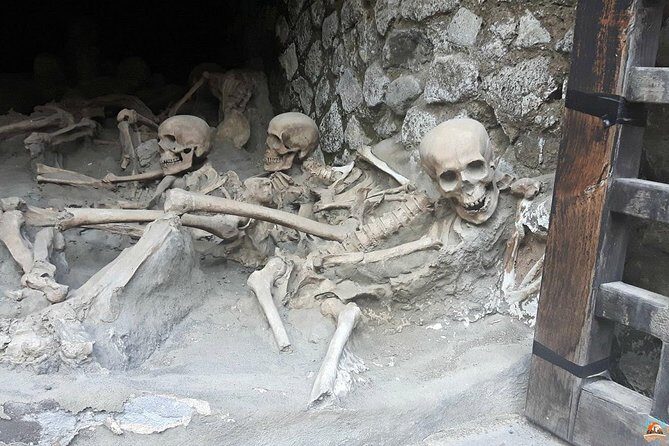 Private Tour Pompeii Herculaneum Vesuvius - Final Thoughts