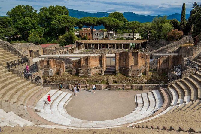 Private Tour: Pompeii Tour with Family Tour Option - Who Should Consider This Tour?