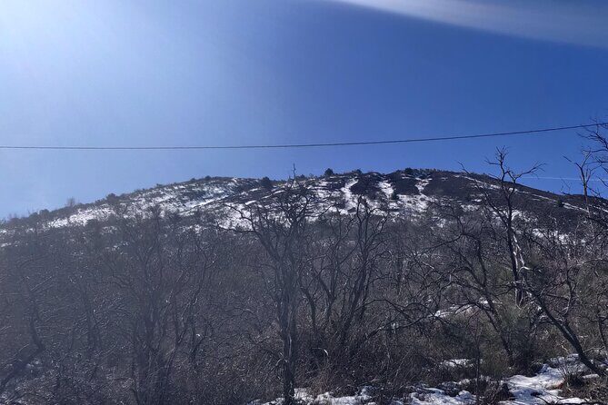 Private Tour Pompeii, Vesuvius and Herculaneum - Authentic Experiences from Reviews