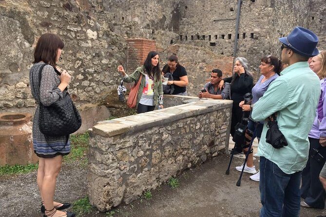 Private Tour: Pompeii & Wine Tasting at the Slopes of Mt Vesuvius - The Sum Up