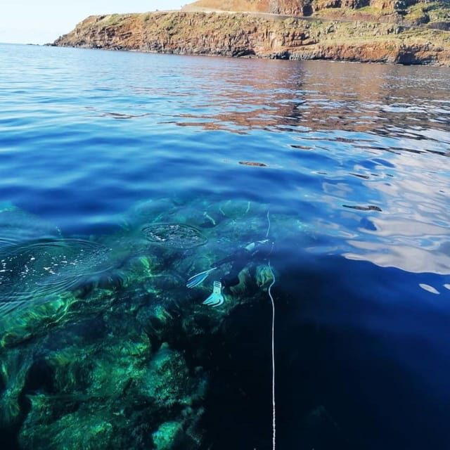 Private tour | Ponta de São Lourenço (Scuba & Snorkeling) - Final Thoughts