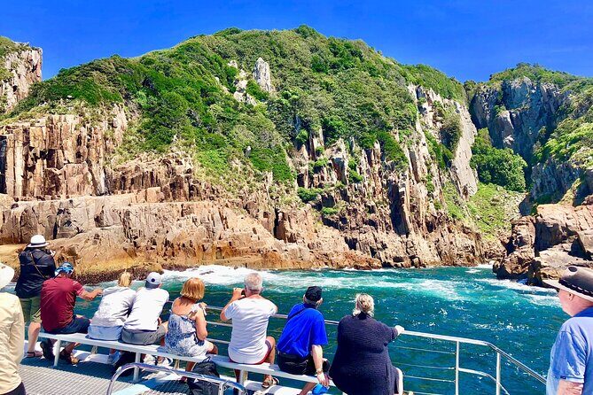 Private tour: Port Stephens, departing Newcastle - Whales! - An Unfolding Day in Port Stephens: What to Expect