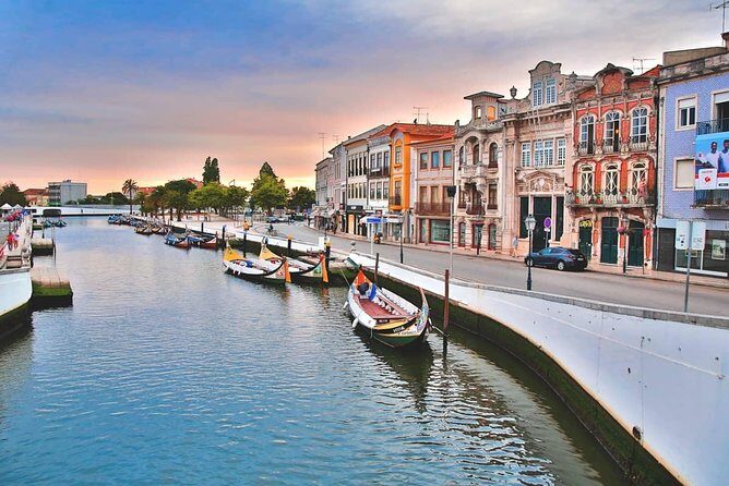 Private Tour Porto / Aveiro * Private Tours * - Who Will Love This Tour?