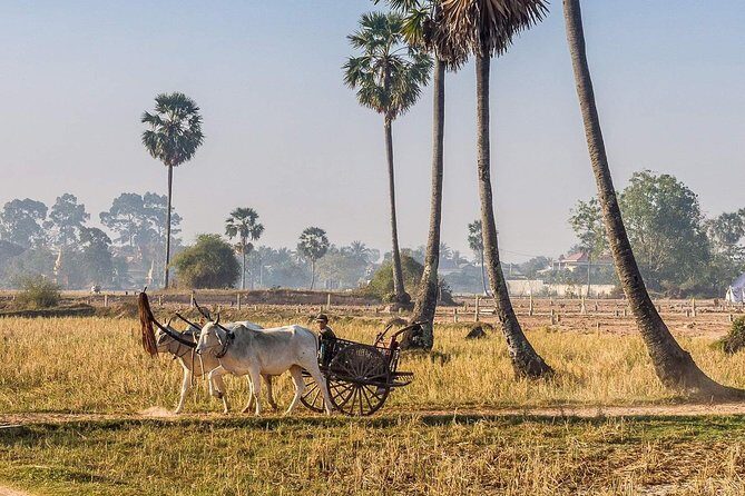 Private tour: Preah Khan Kompong Svay and Sambor Prei kuk Temples - Exploring Cambodia Beyond Angkor Wat: A Closer Look at the Private Tour to Preah Khan Kompong Svay and Sambor Prei Kuk