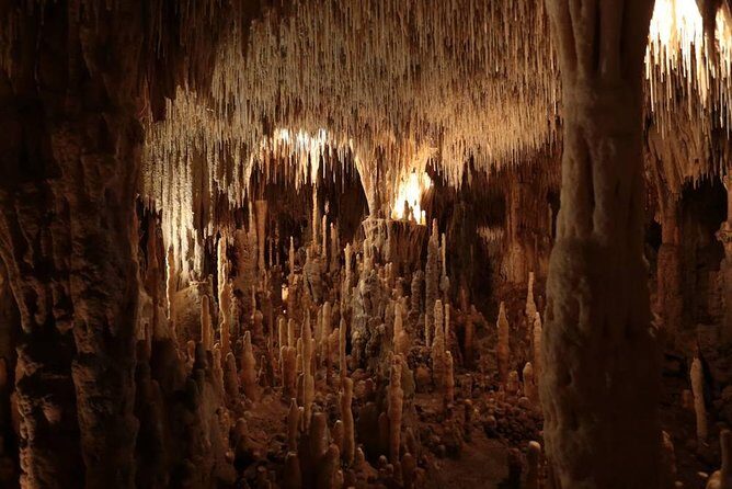 Private Tour : Prehistoric Cave and Castle by EXPLOREO SARLAT - FAQ