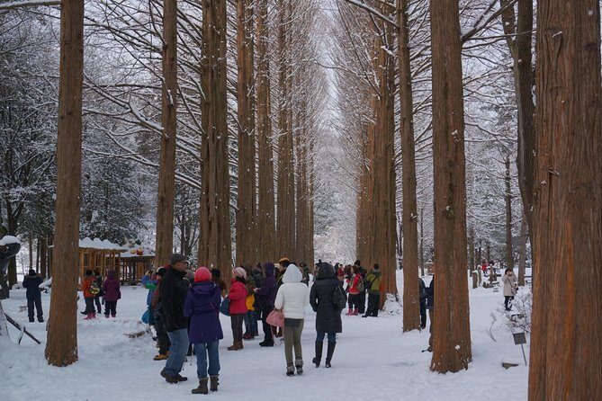 Private Tour Rail Bike & Nami Island & (Petite France or Garden of Morning Calm) - Key Points
