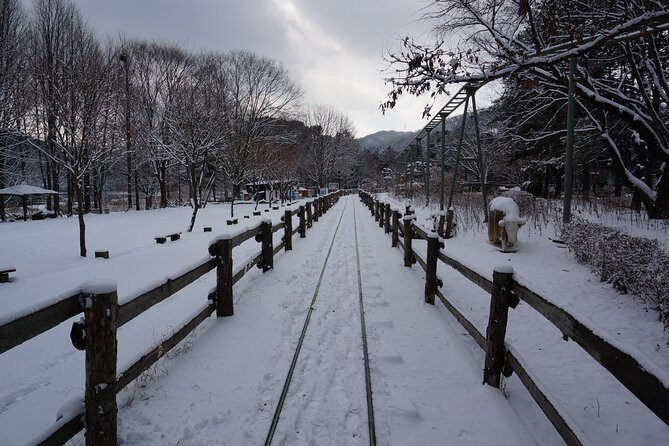 Private Tour Rail Bike & Nami Island & (Petite France or Garden of Morning Calm) - Final Thoughts