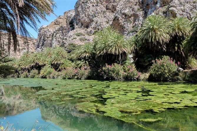 Private Tour Rethymno: Spili, Preveli, Kourtaliotiko, Old Town - What We Loved (and What to Consider)