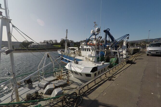 Private Tour: Ring of Beara from Kenmare. - An In-Depth Look at the Private Ring of Beara Tour