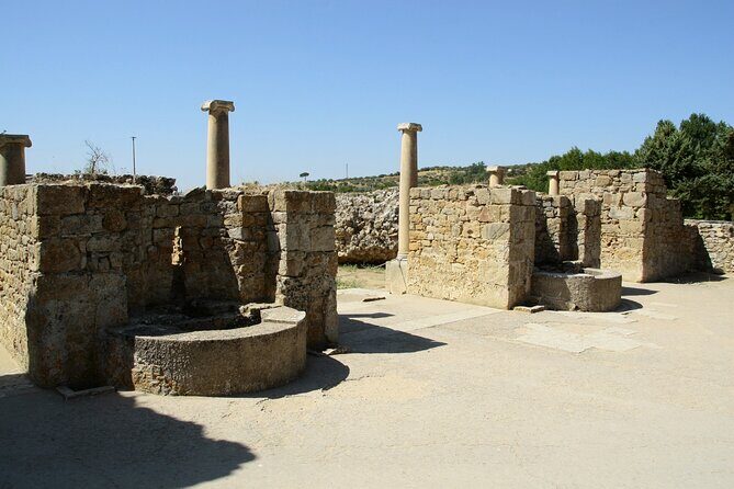 Private Tour Roman Villa of Casale - Morgantina, Aidone's Museum - A Deep Dive into the Experience