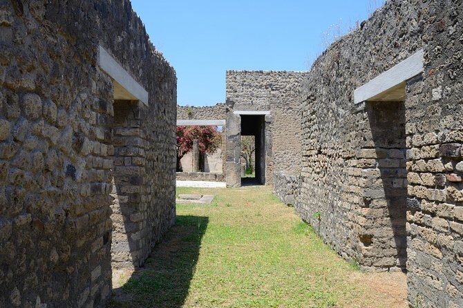 Private Tour Rome to Pompeii in private vehicle or fast train - The Sum Up