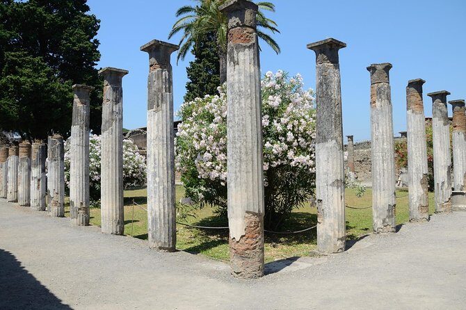 Private Tour Rome to Pompeii in private vehicle or fast train - FAQ