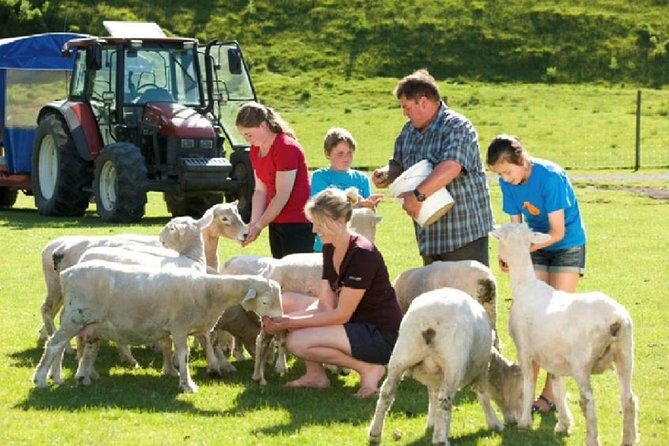 Private Tour - Rotorua Adventures Day Trip From Auckland - An Introduction to This Private Rotorua Day Tour