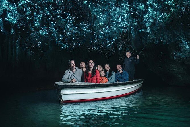 Private Tour: Rotorua and Waitomo Caves Day Trip from Auckland - What Makes This Tour Stand Out?