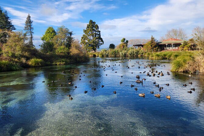 Private Tour Rotorua + Blue springs + WaiOtapu + Redwood forest - Key Points