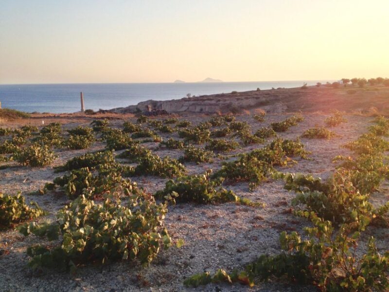 Private tour - Santorini sightseeing day tour - Who Will Love This Tour?