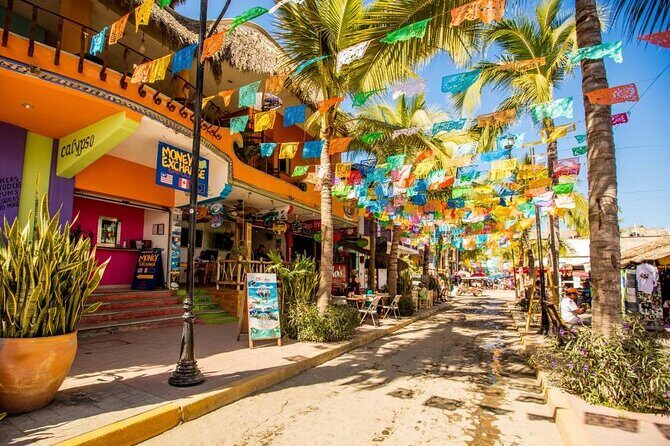 Private Tour, Sayulita & San Pancho - Who Will Love This Tour?
