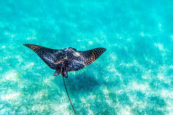 Private tour - Sian Ka´an Adventure - An In-Depth Look at the Sian Ka´an Tour