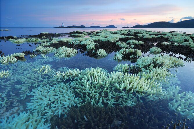 Private Tour Siao Liuchiu-Coral Island From Kaohsiung - Exploring the Private Siao Liuchiu-Coral Island Tour from Kaohsiung