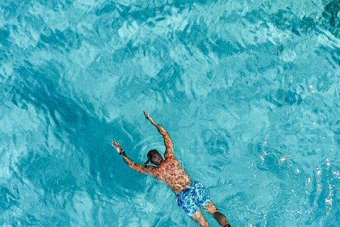 Private tour Sibenik full day - The Itinerary: What to Expect from Your Day on the Water