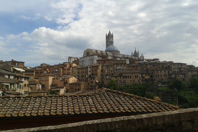 Private Tour: Siena Walking Tour - Who Should Book This Tour?