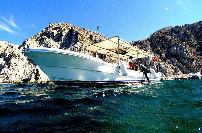 Private Tour: Sightseeing Cruise in Cabo San Lucas - The experience at a glance