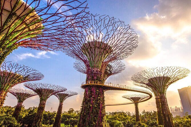 Private Tour Singapore Explorer Pass with Dukw - Key Points