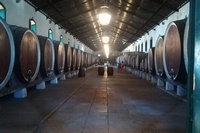 Private Tour Sintra With Wine Tastings - Insights from Past Travelers