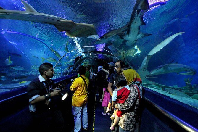 Private Tour : Skip The Line Petronas Twin Towers, Petrosains & Aquaria KLCC - Final Thoughts
