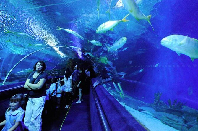 Private Tour : Skip The Line Petronas Twin Towers, Petrosains & Aquaria KLCC - FAQs