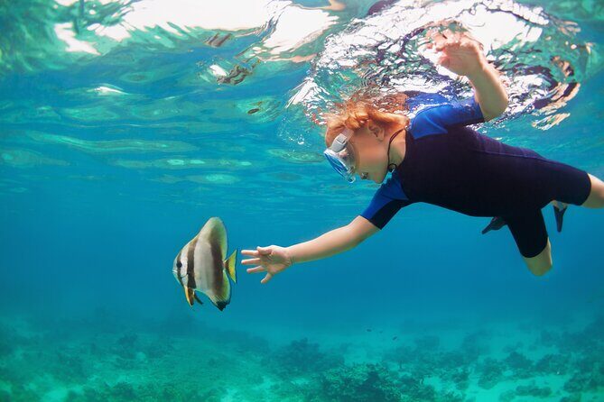 Private Tour Snorkeling to Explore Hidden Coral Spots - Private Tour Snorkeling to Explore Hidden Coral Spots: A Detailed Review